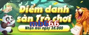 mb666