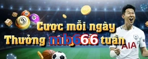 mb666